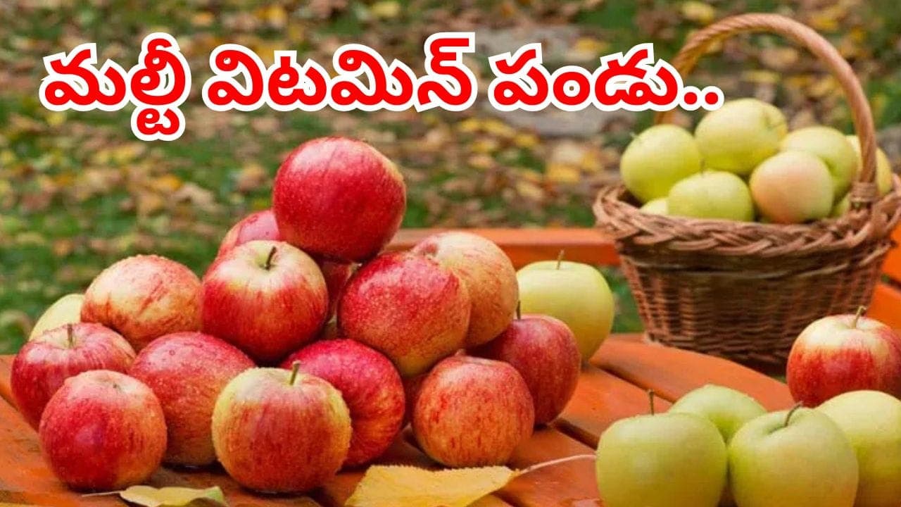 నేచర్ డాక్టర్.. యాపిల్ పండు గురించి మీకు తెలియని నిజాలు